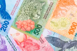 Ayuda económica IAMS